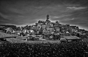 Siena (schwarz und weiß) von Maickel Dedeken