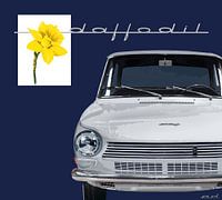 DAF 55 Front