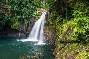 Wasserfall auf Guadeloupe,
