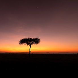 Zonsopkomst in Afrika. van Gunter Nuyts