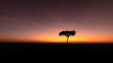 Sonnenaufgang in Afrika. von Gunter Nuyts