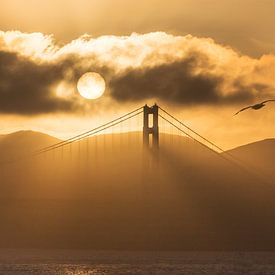 San Francisco's Golden Gate Bridge van Jonathan Vandevoorde