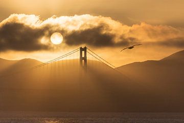 San Francisco's Golden Gate Bridge van Jonathan Vandevoorde
