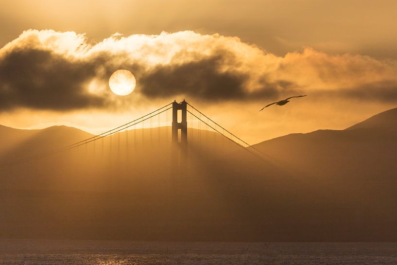 San Francisco's Golden Gate Bridge by Jonathan Vandevoorde