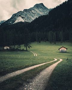 Bergwiese im Fischleintal - Südtirol