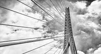 van Brienenoordbrug Rotterdam