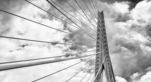 van Brienenoordbrug Rotterdam