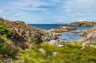 Landschap op het schiereiland Kalvehageneset in Noorwegen van Rico Ködder thumbnail
