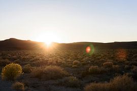 Dead Valley Vereinigte Staaten