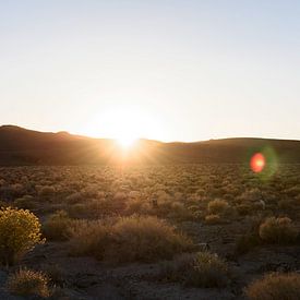 Vallée morte États-Unis sur Ingeborg van Bruggen