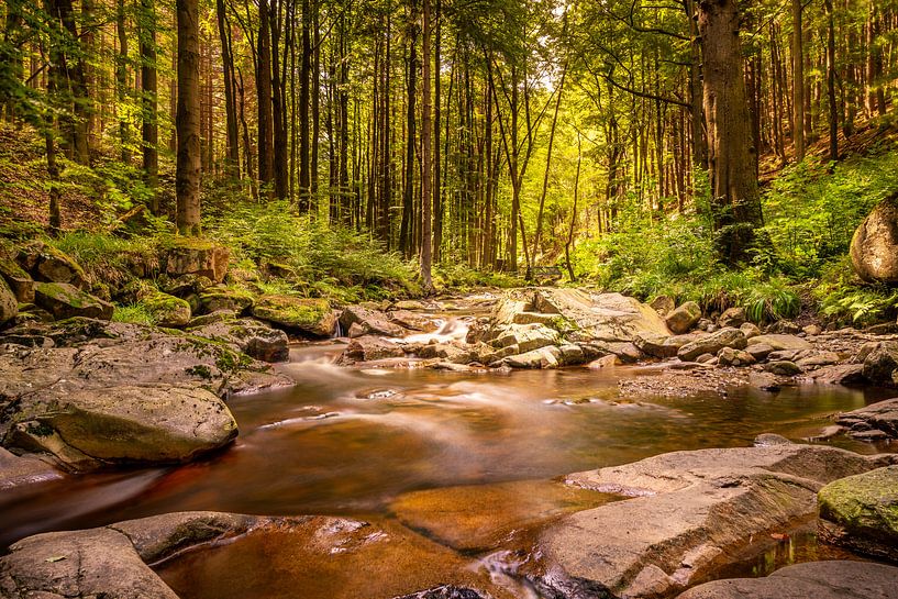 The beautiful Ilse Valley by Steffen Henze