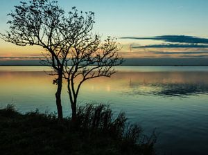 Stille wateren bij Harderwijk sur Anneriek de Jong