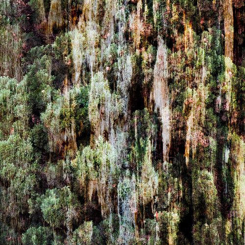 Caught in the Trees III