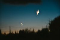 Moon, new moon in Ibiza night