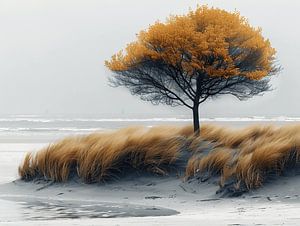 Orangefarbene Schönheit an der Küste
