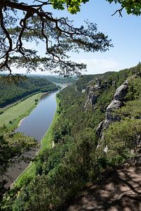 Bäume, Sandsteinfelsen und das Tal der Elbe