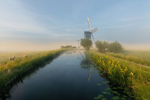 Polder Alblasserwaard