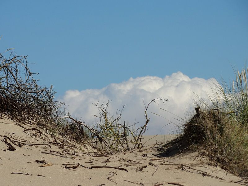 Mooie foto van de duinen. by Brigitte Koster
