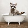 Funny Raccoon In Bathtub Wall Decoration by Diana van Tankeren