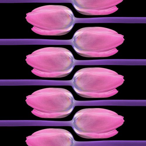 tulpen online II