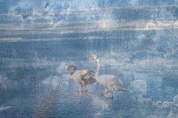 Abstracte fotografie | Abstract expressionisme | Modern abstract | Fantasie | Zwanen voor altijd samen van Art by Janine