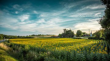 Sunflowerfield in France 3 by Onno Kemperman