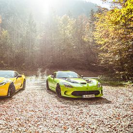 American Muscle sur Sytse Dijkstra