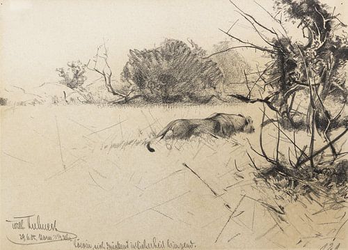 La lionne se met en sécurité, WILHELM KUHNERT, 1905
