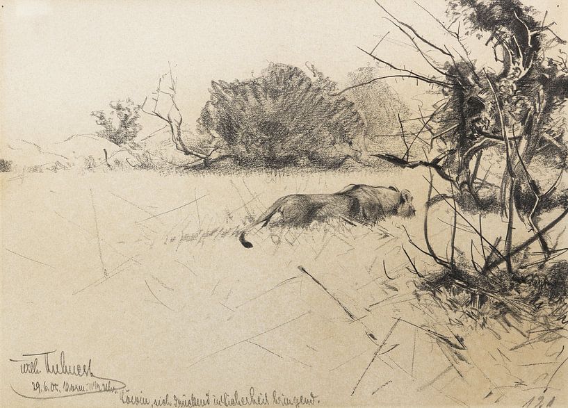 Lioness pushes herself to safety, WILHELM KUHNERT, 1905 by Atelier Liesjes