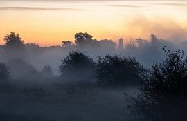 Meinerswijk part 64 by Tania Perneel