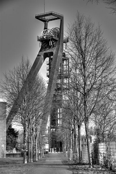 Monochrom 2 van Edgar Schermaul
