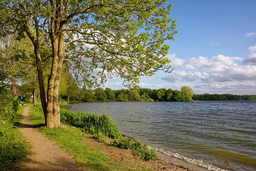 Am Kellersee in Sielbeck von Gisela Scheffbuch