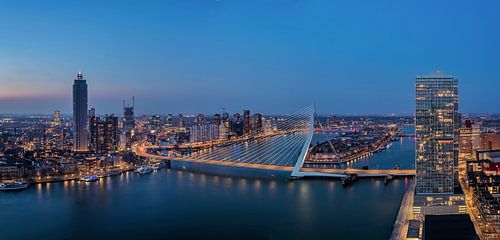 view on the Erasmusbridge