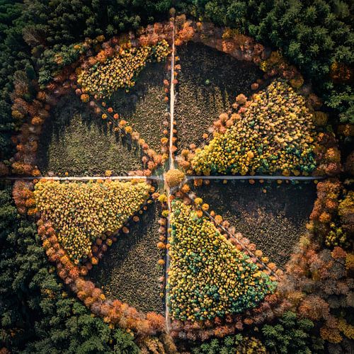 Herstgeometrie op de Utrechtse Heuvelrug