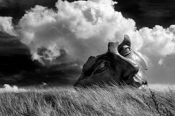 Quand nous étions des dieux