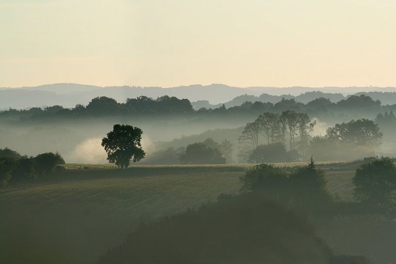Paysage brumeux de plaine à Uzerche (France) par Michelle Peeters