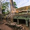 Ta Prohm,  Angkor, Cambodja van Henk Meijer Photography