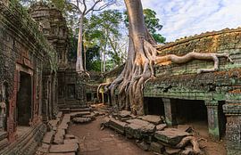 Temple de Ta Prohm, Angkor, Cambodge sur Henk Meijer Photography
