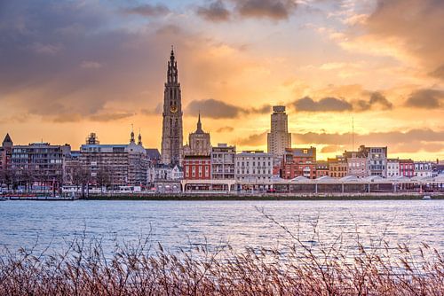 Antwerpen zicht op de Scheldekaaien.