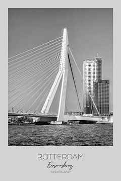 In beeld: Erasmusbrug ROTTERDAM van Melanie Viola