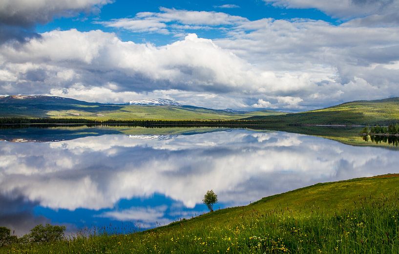 Reflectie op een meer in het noorden van Zweden van Hamperium Photography