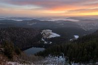 Beautiful view from the Feldberg in the Black Forest, Germany at sunrise. by Jos Pannekoek thumbnail