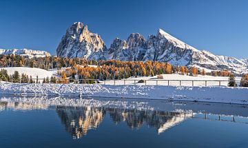 Automne sur l'Alpe de Siusi Tyrol du Sud sur Achim Thomae Photography