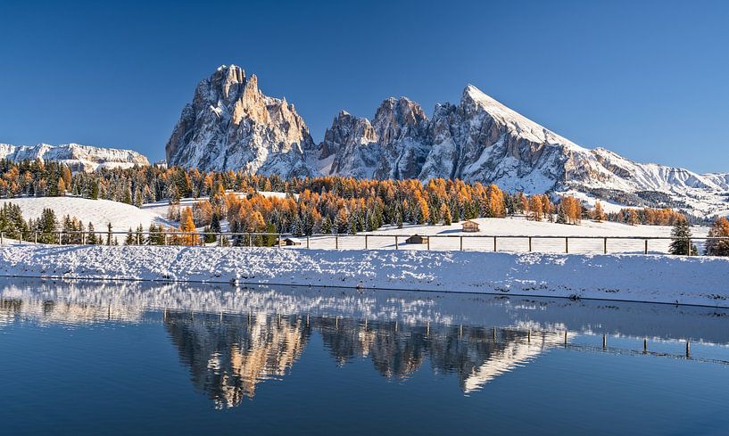 Automne sur l'Alpe de Siusi Tyrol du Sud par Achim Thomae Photography