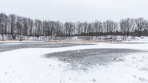 Winter landscape in Drenthe