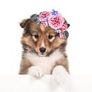 Flower puppy by Elles Rijsdijk thumbnail