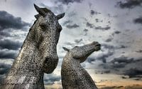 Kelpie
