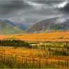 Landschap in de Brooks Range in herfstkleuren van Chris Stenger