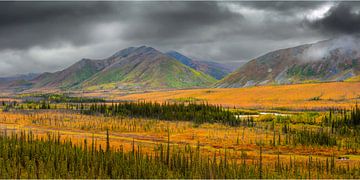 Landschap in de Brooks Range in herfstkleuren by Chris Stenger