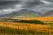 Landschap in de Brooks Range in herfstkleuren von Chris Stenger